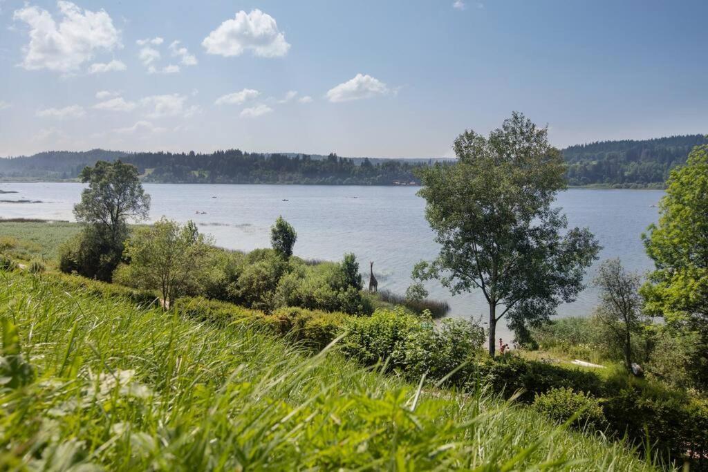Duplex Le Reflet Du Lac มาลบุยซอง ภายนอก รูปภาพ